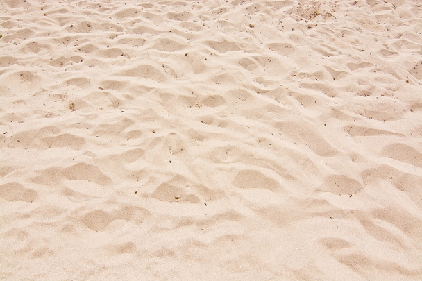 arena fina playa fondo
 - Foto, Imagen