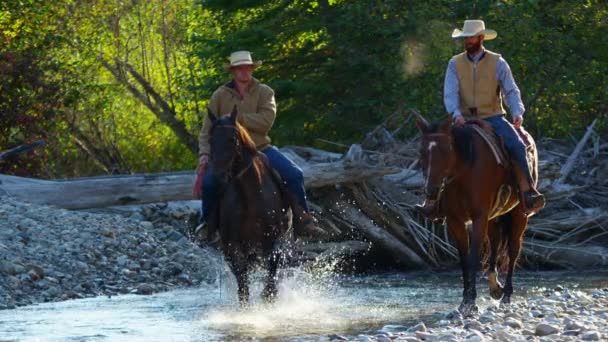 川で馬に乗るカウボーイ - 映像、動画