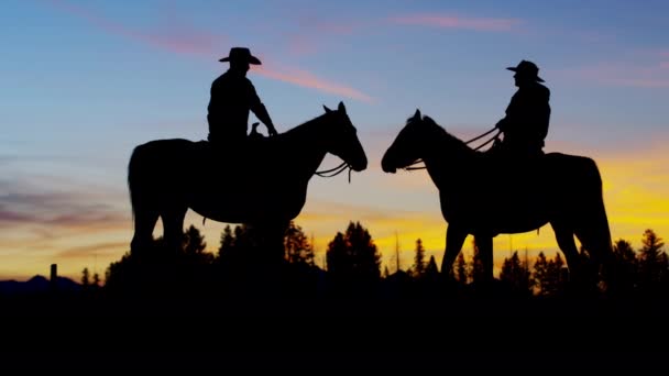 Cowboy Riders in wilderness at the sunset - Footage, Video