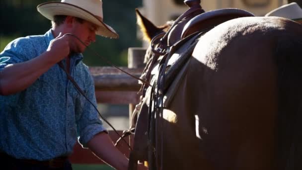 Cowboys a karámban ló saddling - Felvétel, videó