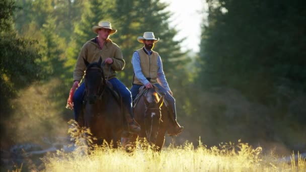 Jezdci na koních v lesnatém údolí - Záběry, video