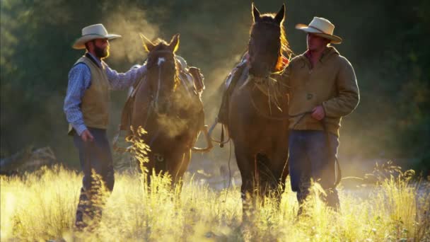 Kovboje na koni lesa v řece - Záběry, video