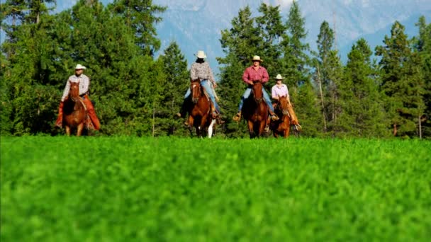 cowboyt ja lehmityttöjä ratsastus niityillä
 - Materiaali, video