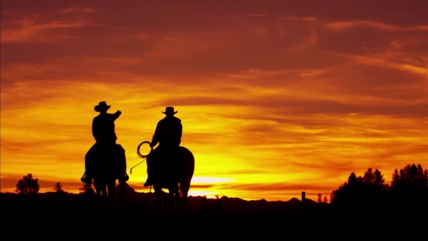 Cowboy Riders dans la forêt sauvage
 - Séquence, vidéo