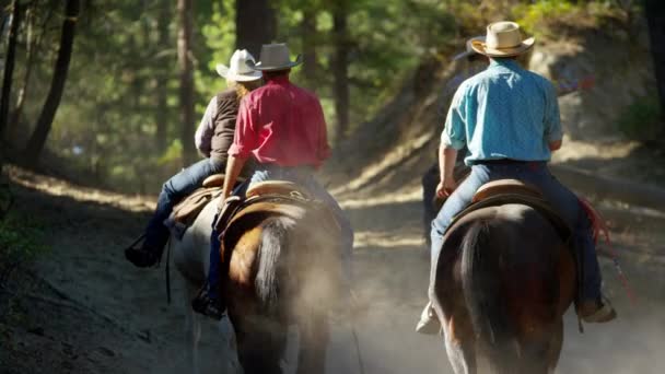 Pferde galoppieren mit Cowboy-Reitern  - Filmmaterial, Video