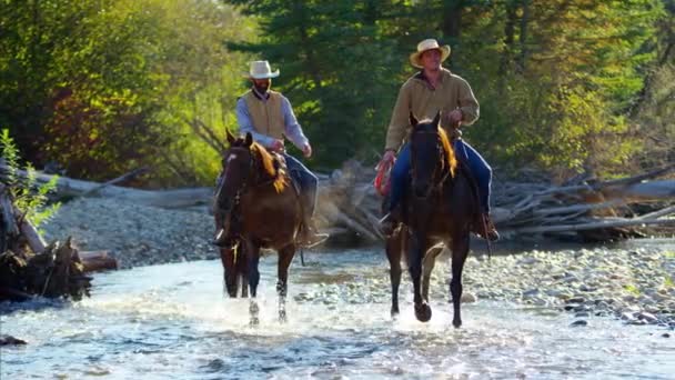 Cowboys Montando cavalos no rio
 - Filmagem, Vídeo