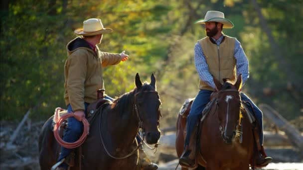 Cowboys rijden van paarden in de rivier - Video