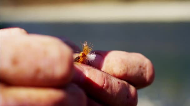  ψαράς χέρι δένοντας στεγνό fly - Πλάνα, βίντεο