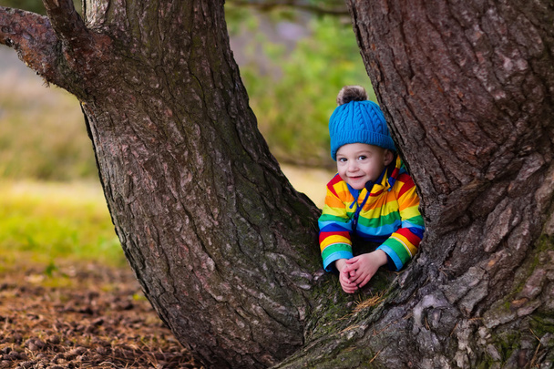 Játék: őszi parkban kisfiú - Fotó, kép