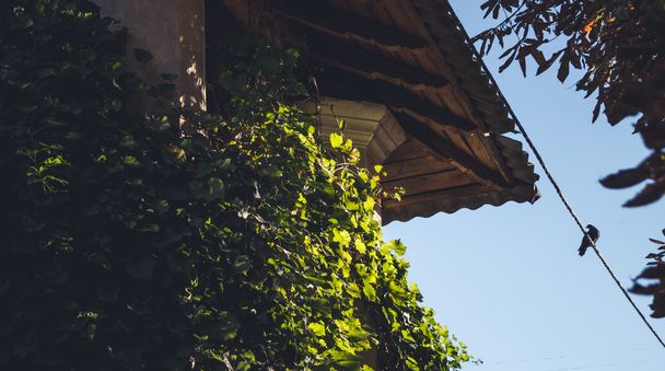 Malownicze poddasze domu stary włoski - Zdjęcie, obraz