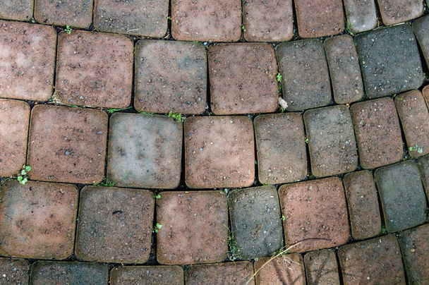 Arched stone pavers on a pathway - Foto, Bild