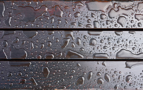 Drops of water. After rain. - Valokuva, kuva