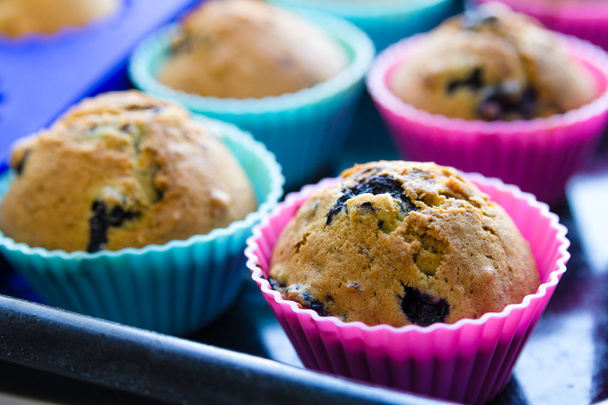 zelfgemaakte blueberry muffins met bessen close-up in baking cups - Foto, afbeelding