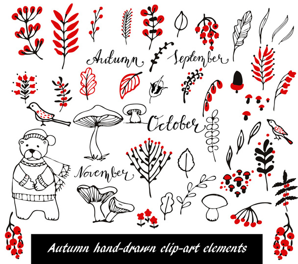 Hand Drawn floral elements set - Vetor, Imagem