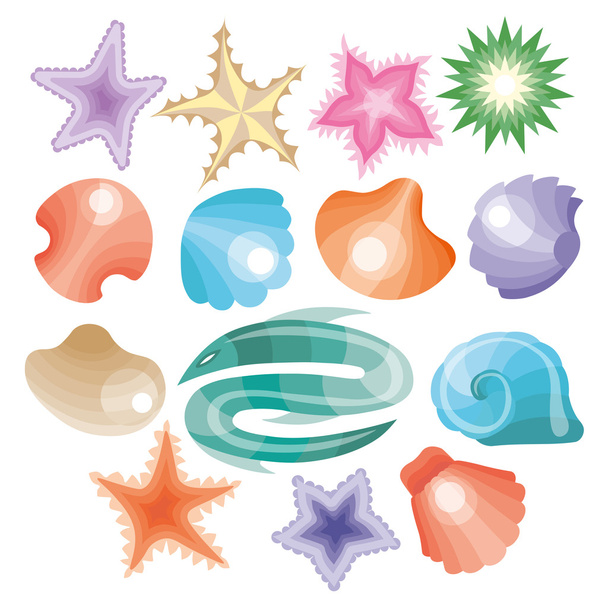 Vektoros gyűjtemény a tengeri kagyló és a csillagok. - Vektor, kép