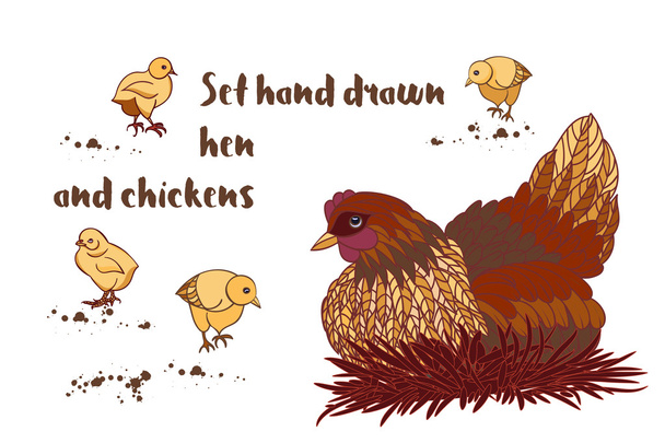 Handgezeichneter Hahn, Hühner und Hühner - Vektor, Bild