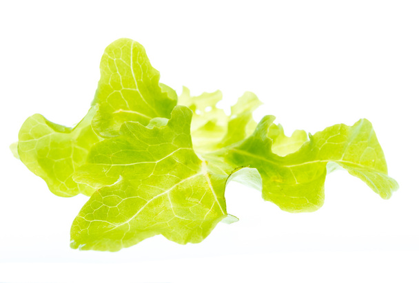 Салат изолирован на белом фоне - Фото, изображение