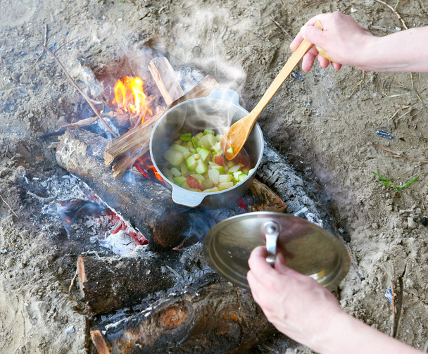 スプーンで女性の手をピクニック、木材、ジャガイモとトマト、健康的なベジタリアン料理の鍋料理でのキャンプファイヤーで調理 - 写真・画像