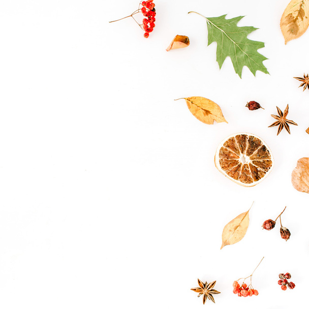 Podzimní listy a plody - Fotografie, Obrázek