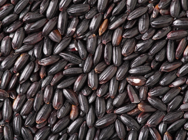 Black dry rice with copy  - Foto, afbeelding