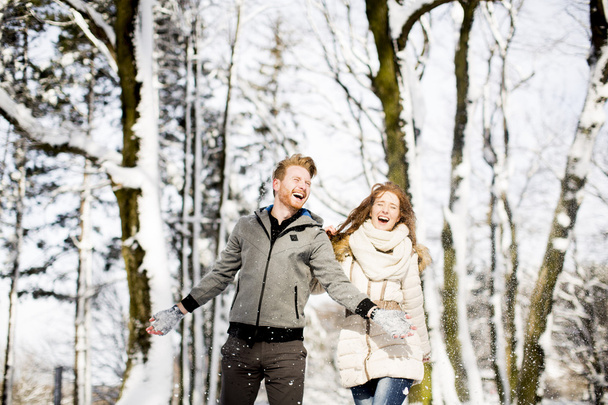Jeune couple au parc d'hiver
 - Photo, image