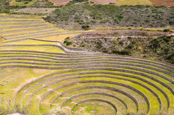 Ősi inka körkörös mezőgazdasági teraszokra Moray tanulmányozására a különböző éghajlati viszonyok hatása növények. - Fotó, kép