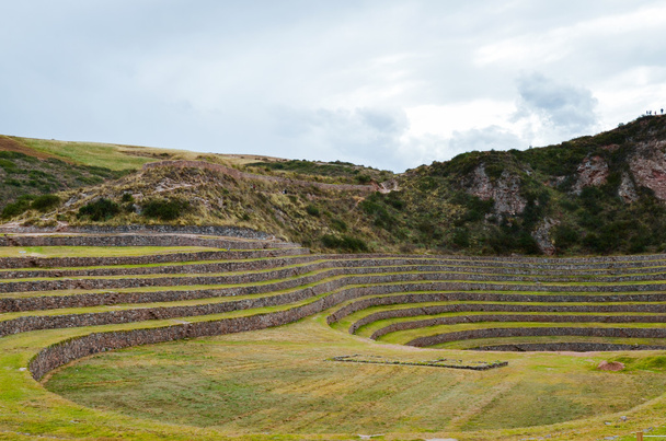 alte inca runde landwirtschaftliche Terrassen an Muränen verwendet, um die Auswirkungen unterschiedlicher klimatischer Bedingungen auf Nutzpflanzen zu untersuchen. - Foto, Bild