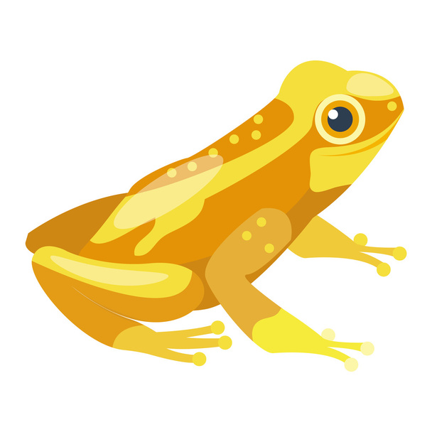 Żaba kreskówka tropikalny zwierzę - Wektor, obraz