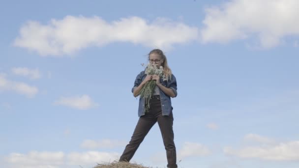 κορίτσι με ένα μπουκέτο μαργαρίτες σε φόντο μπλε του ουρανού - Πλάνα, βίντεο