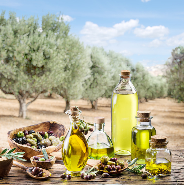 Olive oil and berries are on the wooden table under the olive tr - Foto, Imagen