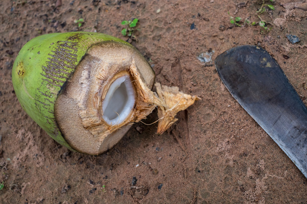 noix de coco au rez-de-chaussée en Thaïlande. (Mise au point sélective
) - Photo, image