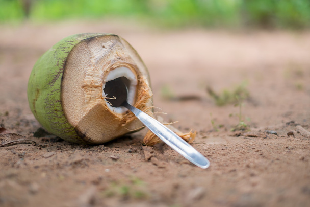 kokosové ořechy na přízemí v Thajsku.-(Selektivní fokus) - Fotografie, Obrázek