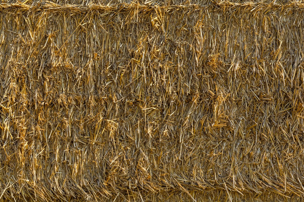 Close up van een achtergrond van strobalen. Baal stro textuur. - Foto, afbeelding