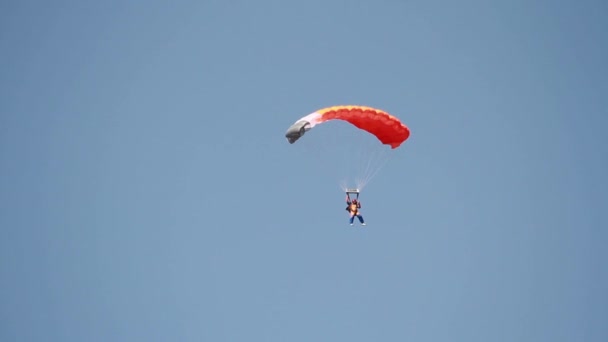 Αλεξίπτωτο άλμα skydiver - Πλάνα, βίντεο