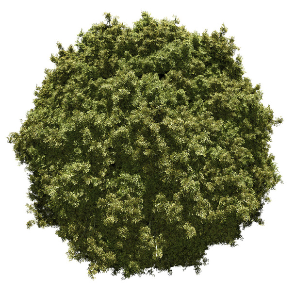 Orman bitki örtüsü ile minyatür gezegen - Fotoğraf, Görsel