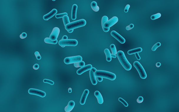 Rod shaped bacteria - Photo, image