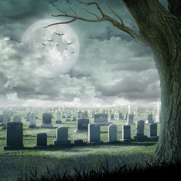 Дизайн Хэллоуина - жуткая елка. Ужасный фон с кладбищем и полнолунием. Пространство для вашего праздничного текста
 - Фото, изображение
