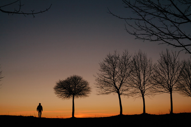 silueta muže a strom při západu slunce - Fotografie, Obrázek