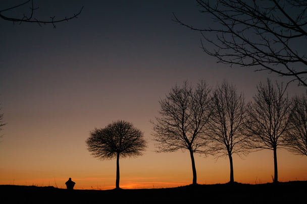 silueta muže a strom při západu slunce - Fotografie, Obrázek