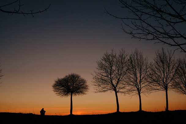 siluetti miehen ja puun auringonlaskun aikaan
 - Valokuva, kuva