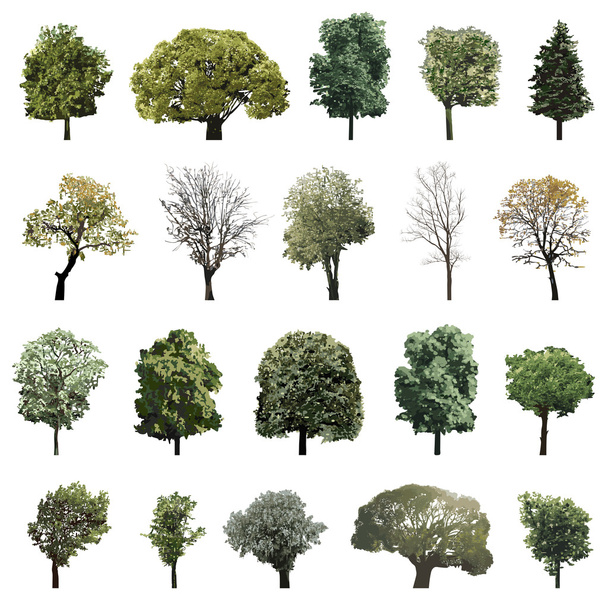 vector set of trees - Vektor, kép