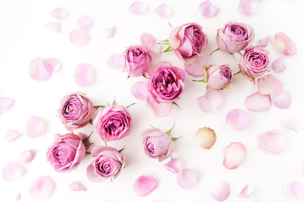 Pink roses and petals scattered on white background. Flat lay, overhead view - Фото, изображение