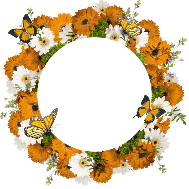 Frame of beautiful daisies and butterflies - Фото, изображение