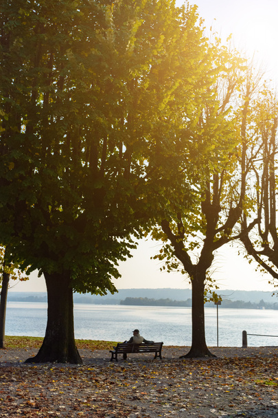 lonely man sitting between two trees on a bench and looking at the lake.Italy, Arona.Toning - Valokuva, kuva