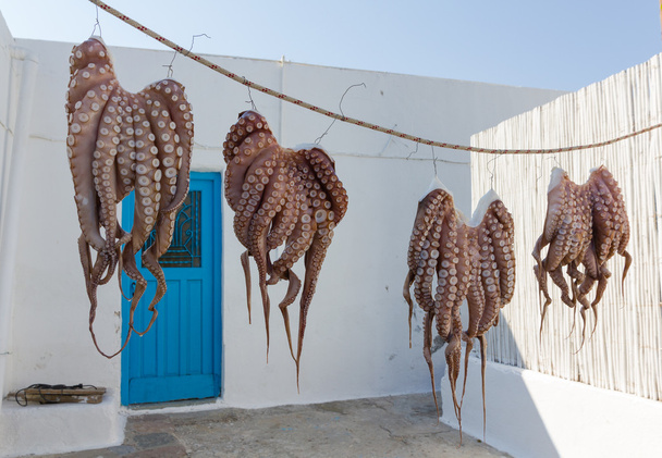 Kraken trocknen in der Sonne auf einer griechischen Insel - Foto, Bild
