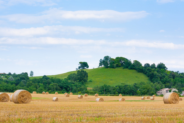 Italian countryside panorama. Round bales on wheat field - Photo, Image