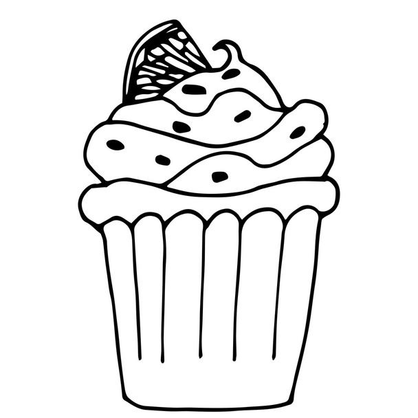 cake with lemon or orange, cupcake drawn in outline isolated on  - Vetor, Imagem