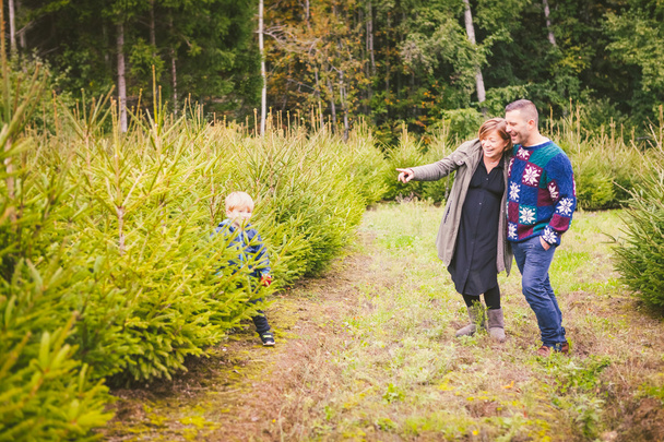 Family Choosing Christmas Tree at Farm - Fotografie, Obrázek
