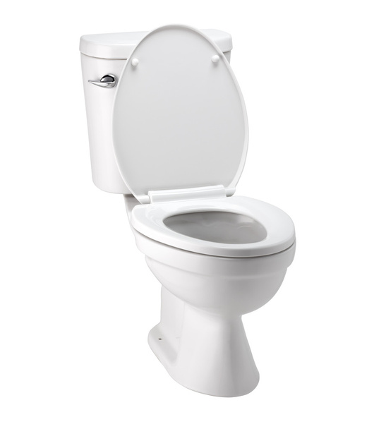 Bílé záchodové mísy v koupelně s klip cestou - Fotografie, Obrázek