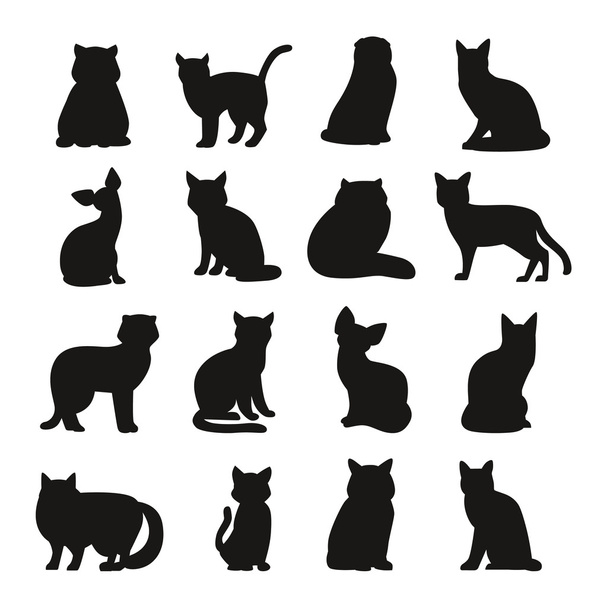 Gato razas lindo animal de compañía conjunto
 - Vector, imagen